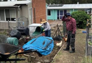 Compost and Chickens. Volunteers hard at work at our Barnardos Australia Children Family Centre Penrith